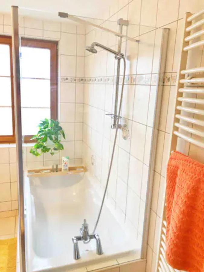 Charming Apartment Basel Border - 3 Bedrooms Hegenheim Экстерьер фото